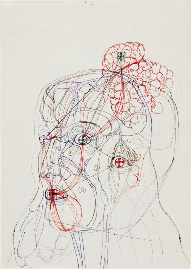 Head