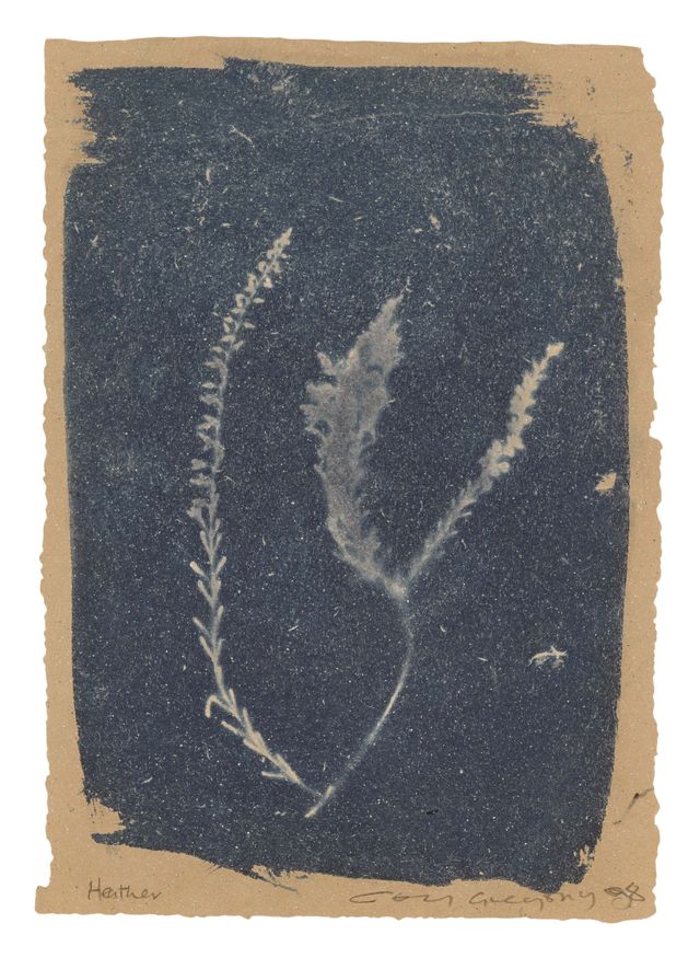 Heather