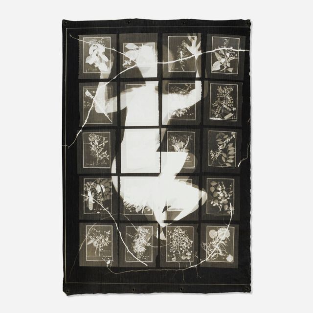 Flight (Hospital Bed) II