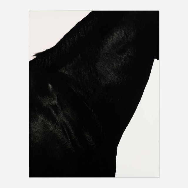 Neck III
