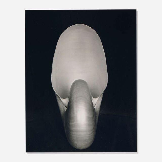 Shell