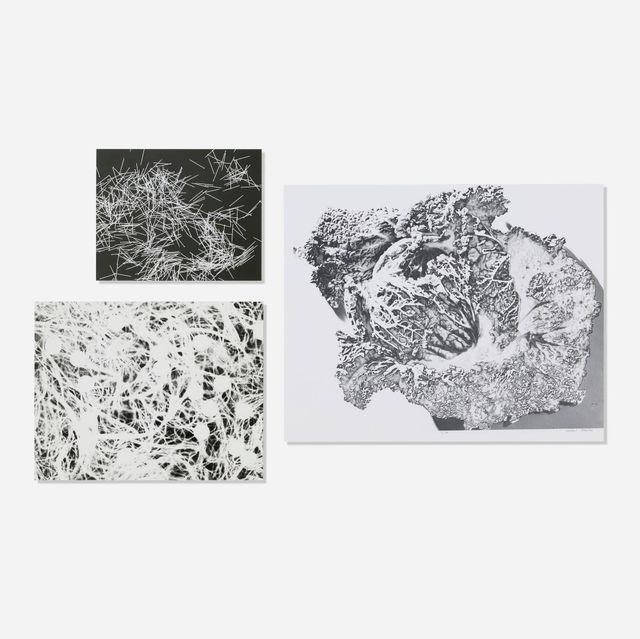 Cabbage; Untitled (three works)