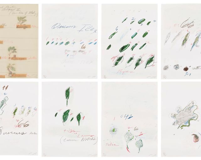 EDITIONS & WORKS ON PAPER