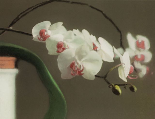 Breaking Ground: The Private Collection of Marian Goodman Part I