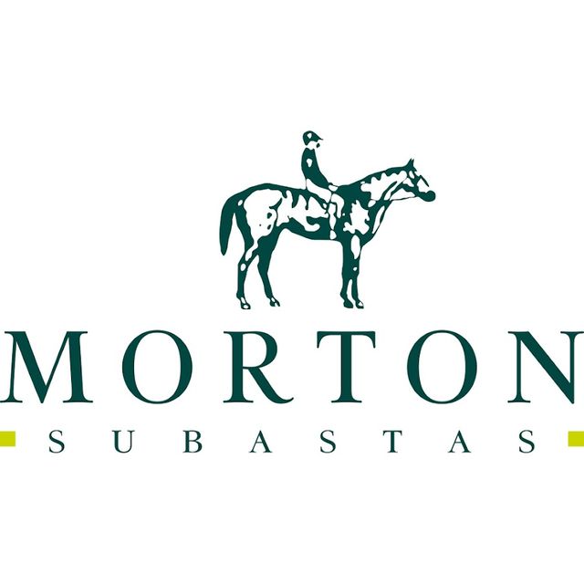 Morton Subastas