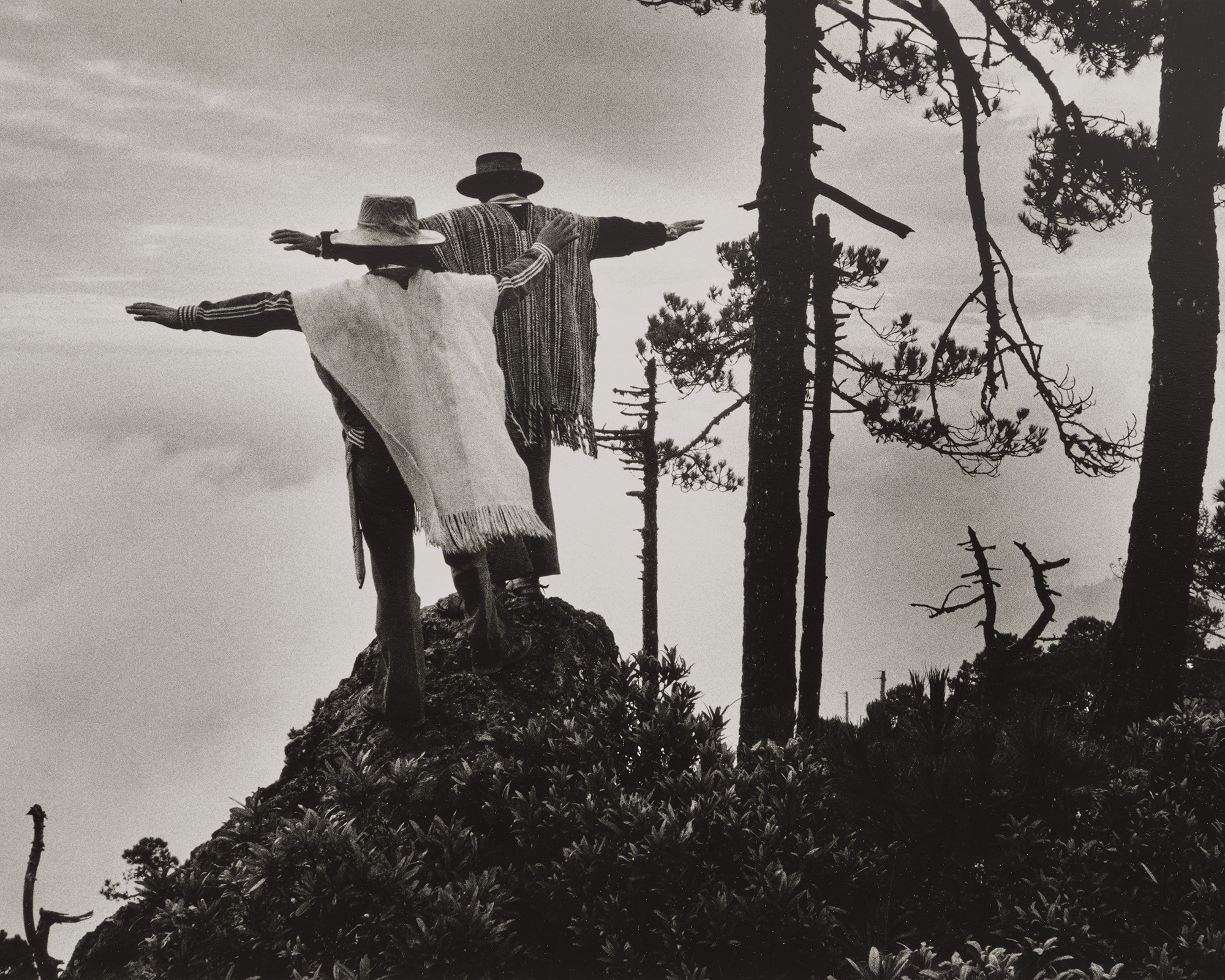 Sebastião Salgado: A Life’s Voyage