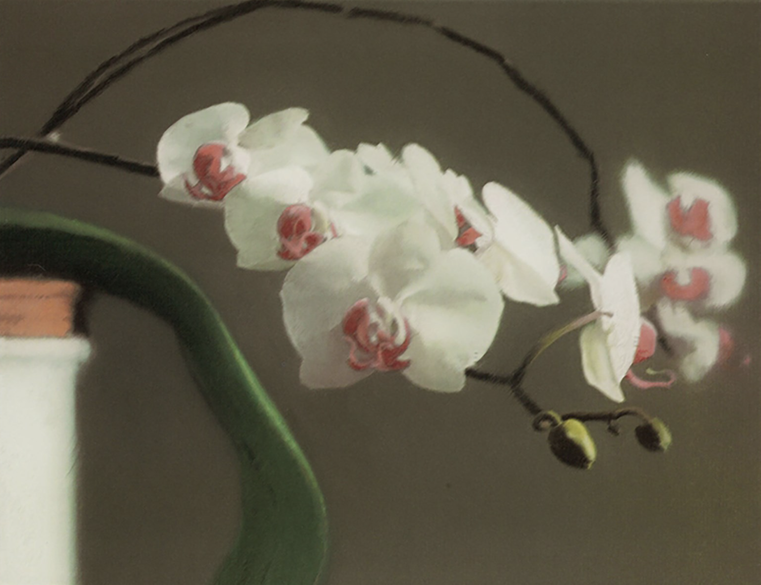 Breaking Ground: The Private Collection of Marian Goodman Part I